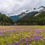 Neustift Near Stubai Lift Apartman *