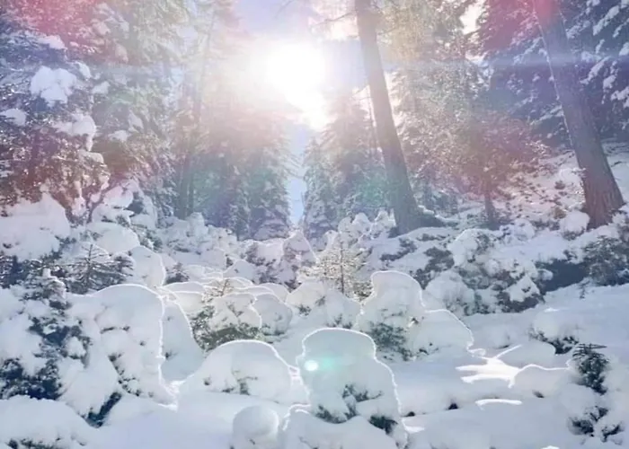 Appartement Neustift Near Stubai Lift Neustift im Stubaital