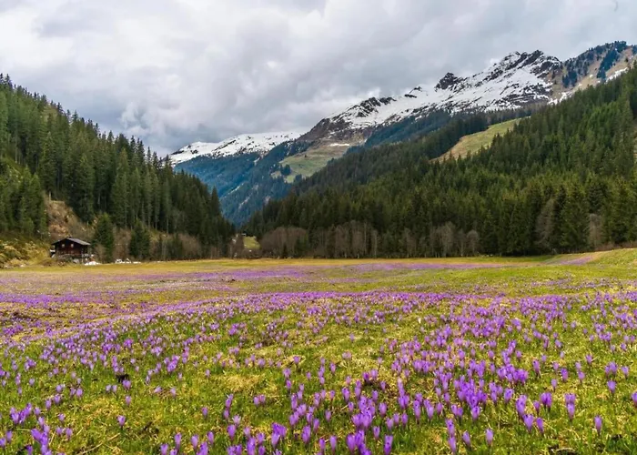 Neustift Near Stubai Lift Lägenhet *